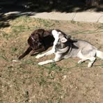 Harold Weeks - Facebook