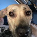 Harold Weeks - @harolds_little_lady - Instagram