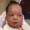Harold - @haroldweiner3 - TikTok