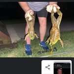 Harold Wilcox - @haroldwilcox360 - Instagram