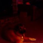 Harold Wiley - @harold.wiley - Instagram