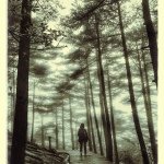 Harold Yang - @haroldyang1 - Instagram
