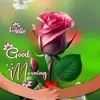 Haron Ali - @haron.ali823 - TikTok