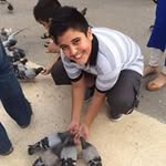 Haroon Altaf - @haroon0087 - Instagram