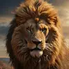 Bashii😎 - @haroon.amin47 - TikTok