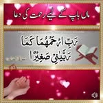 Haroon Amin - @haroonamin55 - Instagram