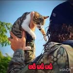 Haroon Haider - @haroonhaider70 - Instagram