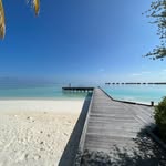 Haroon Hamid - @haroon_h_hamid - Instagram