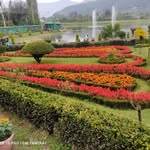 Haroon Hamid - @jaff.er4091 - Instagram