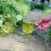 Haroon hamid - @haroon.hamid8 - TikTok