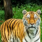 Haroon Hashmi - @haroonhashmi214 - Instagram