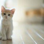 Haroon Iqbal - @haroon.iqbal.5 - Instagram