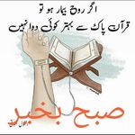 Haroon Javaid - @i_haroon_sheikh - Instagram