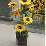 Haroon John - @haroonjohn5 - Instagram