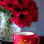 Haroon Masih - @wallpeper_fixing_bahrain - Instagram