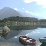 Haroon Rafi - @haroonrafi - Instagram