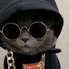 HarperAnne - @...harperann - TikTok