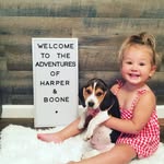 Ashley Vanderpool - @adventures.of.harper.and.boone - Instagram