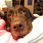 Harper and Boone - @booneandharper - Instagram
