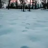 CarrHarperMs - @carrharperms - TikTok