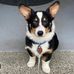 Harper Clark - Facebook