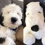 Harper Clark - @harperskisses - Instagram