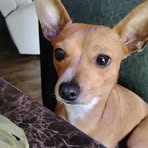 Harper Jo Cobb - Facebook