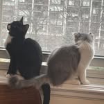 Harper & Collins - @harperandcollins - Instagram