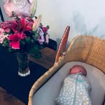 Evelyn Harper Dickson - @evi_emoo - Instagram