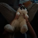 Harper Dodson - Facebook