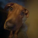 Harper Hanson - Facebook