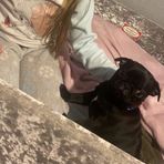 Harper Hanson - Facebook