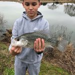 Harper Harrison - @harperharrison46 - Instagram