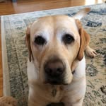 Harper - @harper__may_ - Instagram