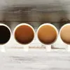 Harper May - @kofiaestheticaddict - TikTok