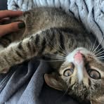 Harper Meyer - Facebook