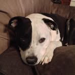 Harper Meyer - Facebook