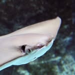 harper meyer - @harpermeyer927 - Instagram
