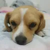 Harpermeyer - @harpermeyer26 - TikTok