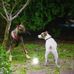 Harper Newber - Facebook
