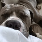 Harper Newell - Facebook