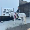 Harper Robinson - @harper.robinson79 - TikTok