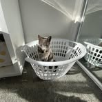 Harper Wright - Facebook