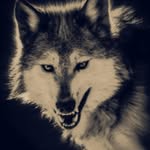 Harrell Brown - @meltedjackal456 - Instagram