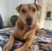 Harrell Davis - Facebook