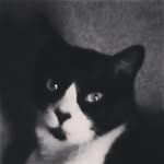 Harriet P Bachman - @mcquail13 - Instagram