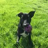 Harriet beardmore - @harriet.beardmore - TikTok