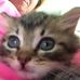 Harriet Berman - Facebook