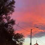 Harriet - @harriet_blues5 - Instagram