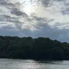 user1715097977965 - @harriet.booker - TikTok